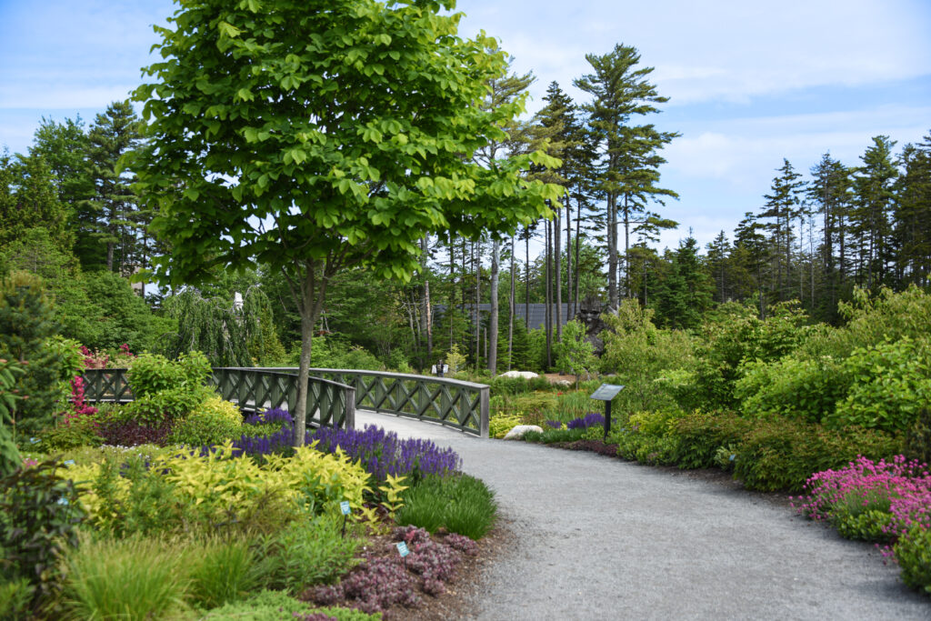 Trail. Photo Courtesy of Coastal Maine Botanical Gardens Trail. Photo Courtesy of Coastal Maine Botanical Gardens