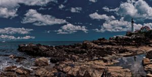 Rocks at Portland Headlight. Photo Credit: Cynthia Farr Weinfield