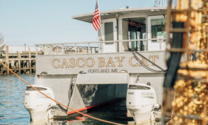 Casco Bay Cat. Photo Credit: Mitchell Powers