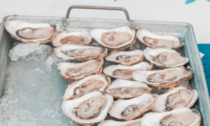 Oysters. Photo Credit: Mitchell Powers