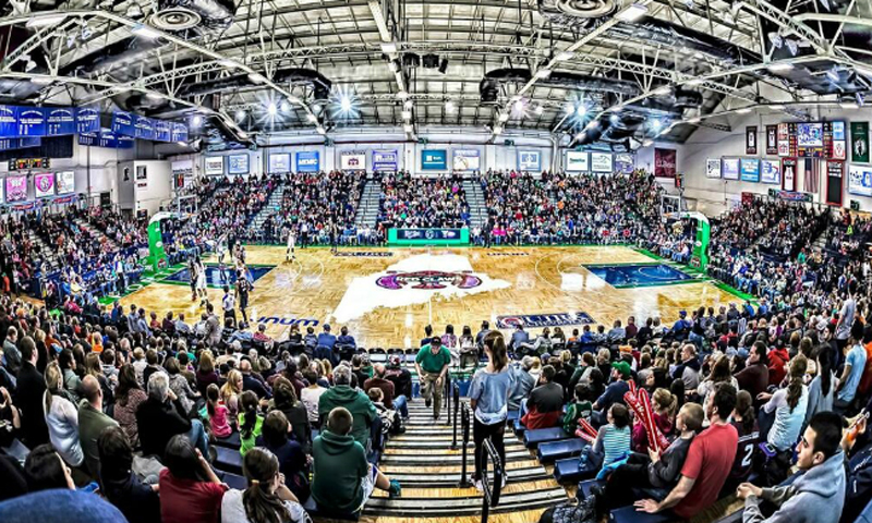 Basketball Game. Photo Provided by Maine Celtics Basketball Game. Photo Provided by Maine Celtics