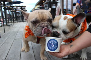 Yappy Hour. Photo Credit: Boone's Fish House & Oyster Room