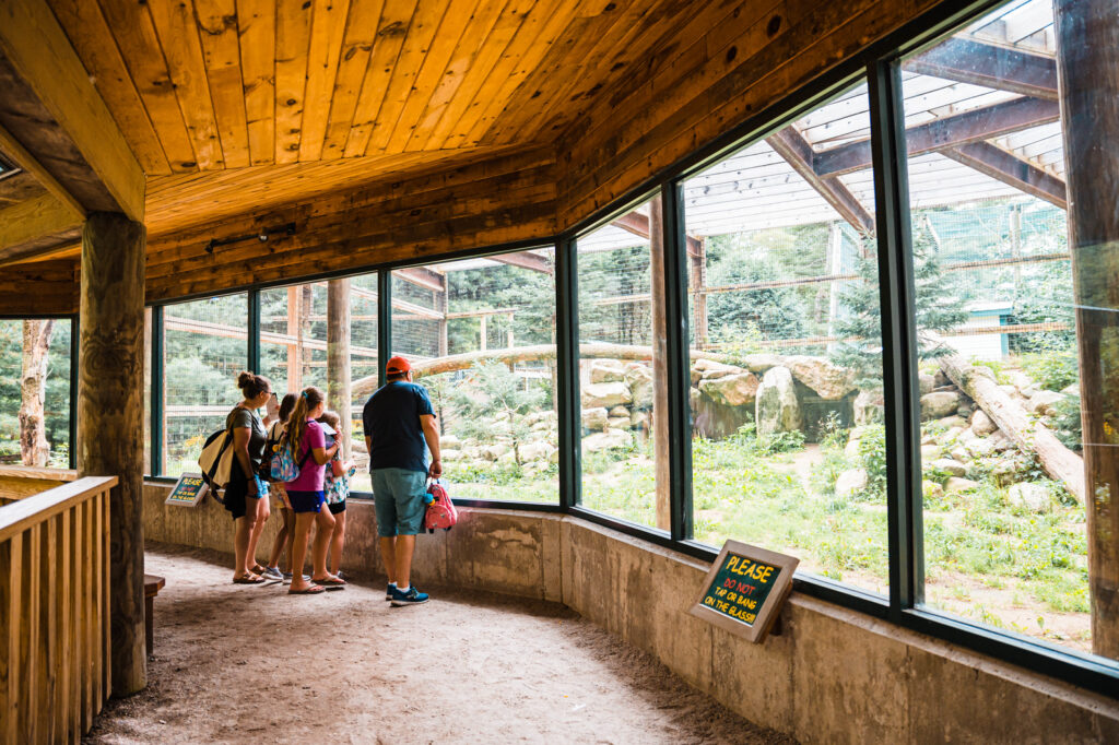 Indoor Exhibit. Photo Credit: Maine Wildlife Park Indoor Exhibit. Photo Credit: Maine Wildlife Park
