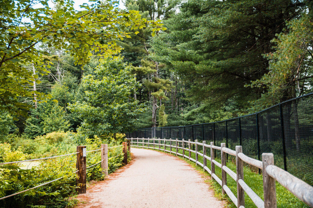 Trail. Photo Credit: Maine Wildlife Park Trail. Photo Credit: Maine Wildlife Park