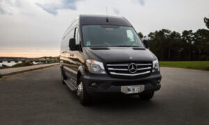 Sprinter. Photo Credit: Enid Arvelo