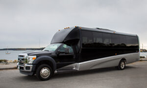 Bus,. Photo Credit: Enid Arvelo