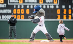Slugger. Photo Provided by Portland Sea Dogs