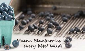 Blueberries and Chocolate. Photo Provided by Len Libby Candies
