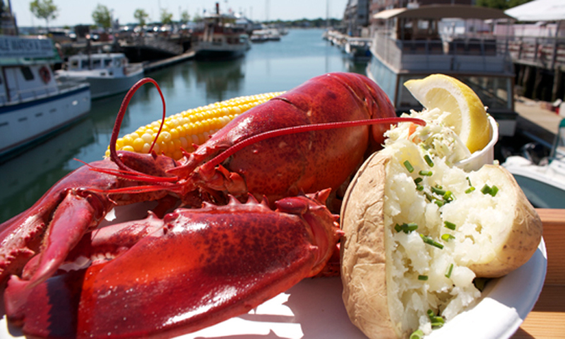 Lobster Meal on the Water. Photo Provided by Portland Lobster Company