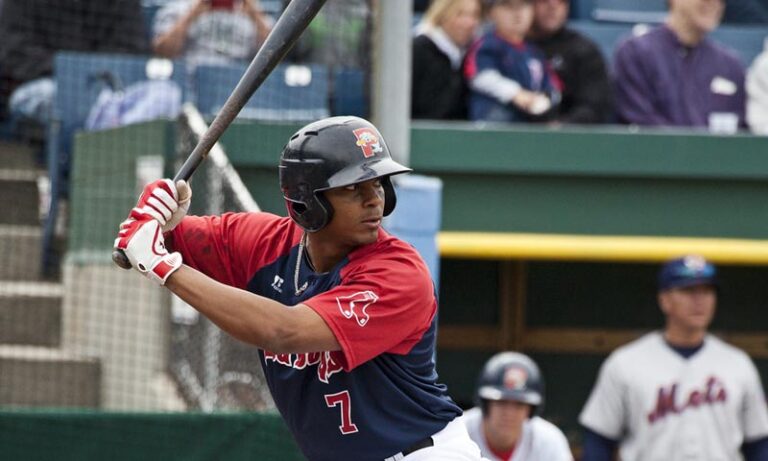 Portland Sea Dogs Player. Photo Credit: 365digitalphotography.com