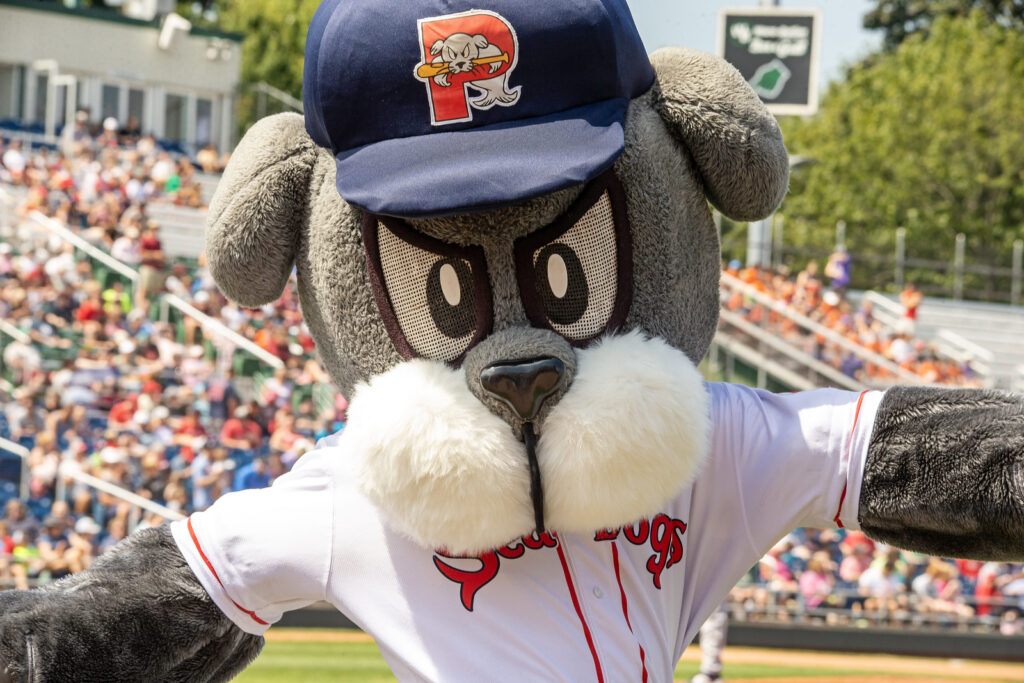Slugger. Photo courtesy of the Portland Sea Dogs Slugger. Photo courtesy of the Portland Sea Dogs