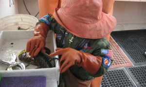 Holding Lobster on Boat. Photo Provided by Lucky Catch Cruises