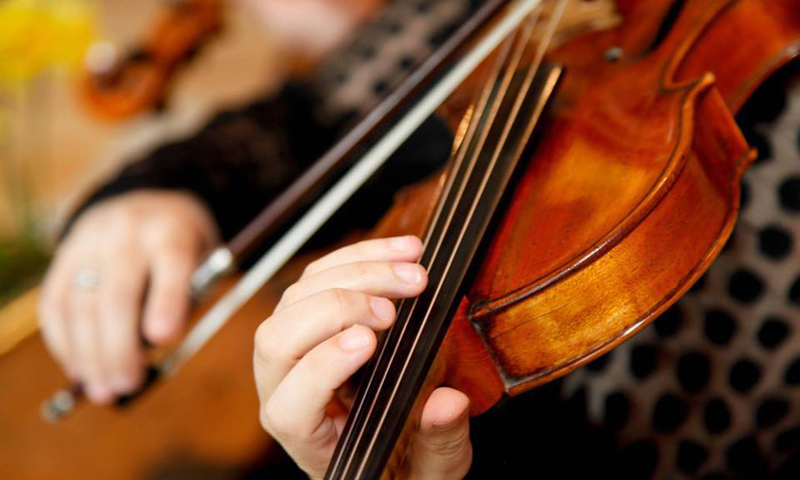 Violin. Photo Provided by Portland Chamber Music Festival