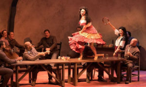 Performance. Photo Provided by Opera Maine