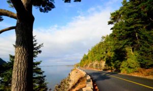 Road next to water. Photo Provided by Maine Day Trip Tours