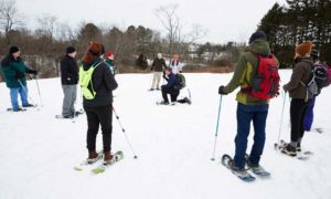 Nordic Skiing. Photo Provided by L.L.Bean