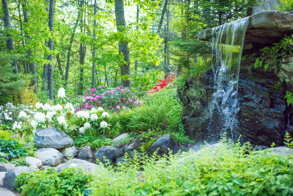 Garden. Photo Courtesy of Coastal Maine Botanical Gardens Garden. Photo Courtesy of Coastal Maine Botanical Gardens