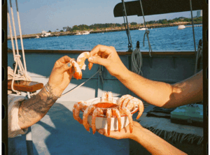 Shrimp while Sailing on the Frances. Photo Credit: Northeast Photographic