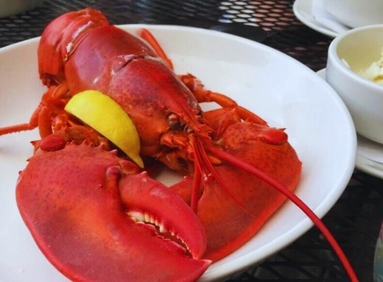 Lobster. Photo Credit: Boone's Fish House & Oyster Room