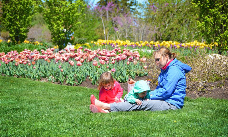 Family laying in the grass near flowers, Photo Courtesy of Coastal Maine Botanical Gardens