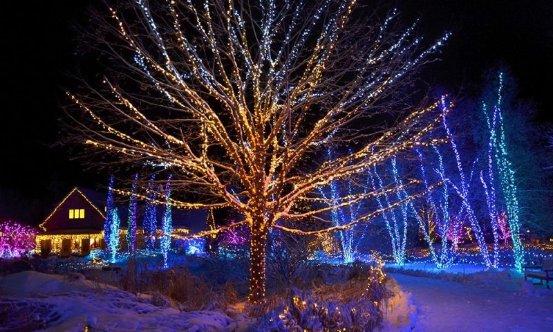 Winter Night Light Display. Photo Provided by Gardens Aglow Winter Night Light Display. Photo Provided by Gardens Aglow