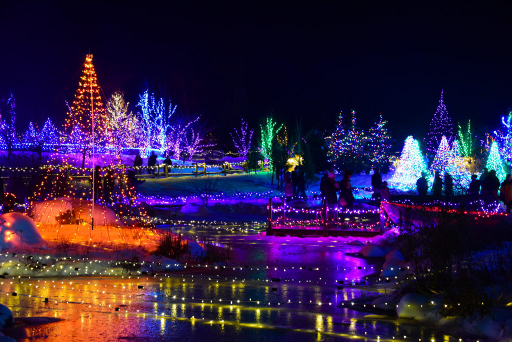 Light Display at Night. Photo Provided by Gardens Aglow