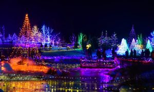 Light Display at Night. Photo Provided by Gardens Aglow