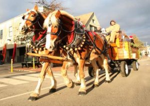 Sparkle Parade of Lights. Photo Provided by Visit Freeport