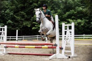 Girl jumping a horse over a fence maine summer camp
