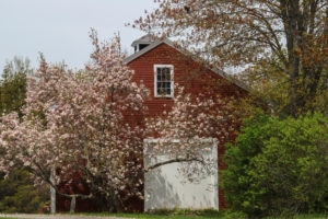 Downtown Yarmouth Barn, Photo by Amy Tolk