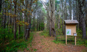 Mast Landing Audubon Sanctuary Freeport, Photo credit Serena Folding