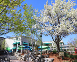 Exterior L.L.Bean Flagship Store, Photo Credit: Amy Tolk