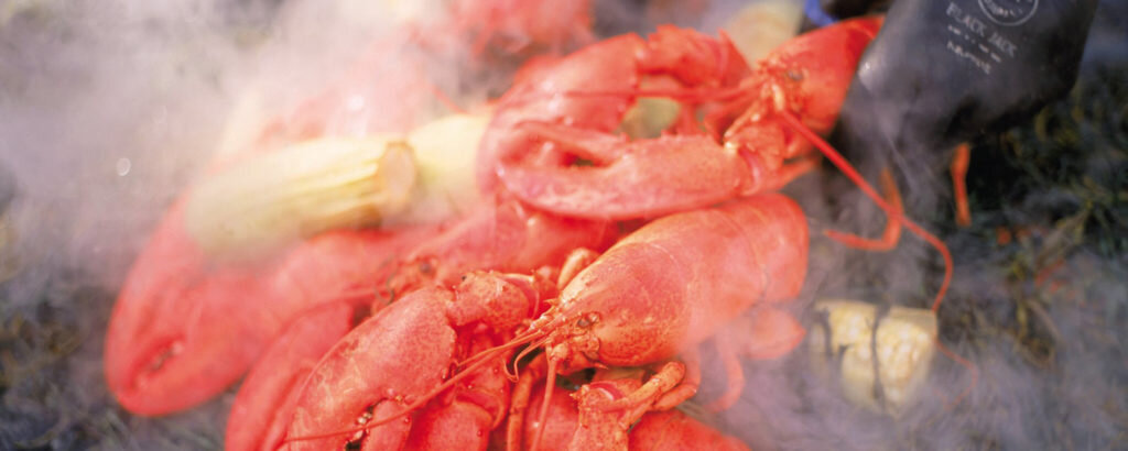 Lobsterbake on Bed of Seaweed