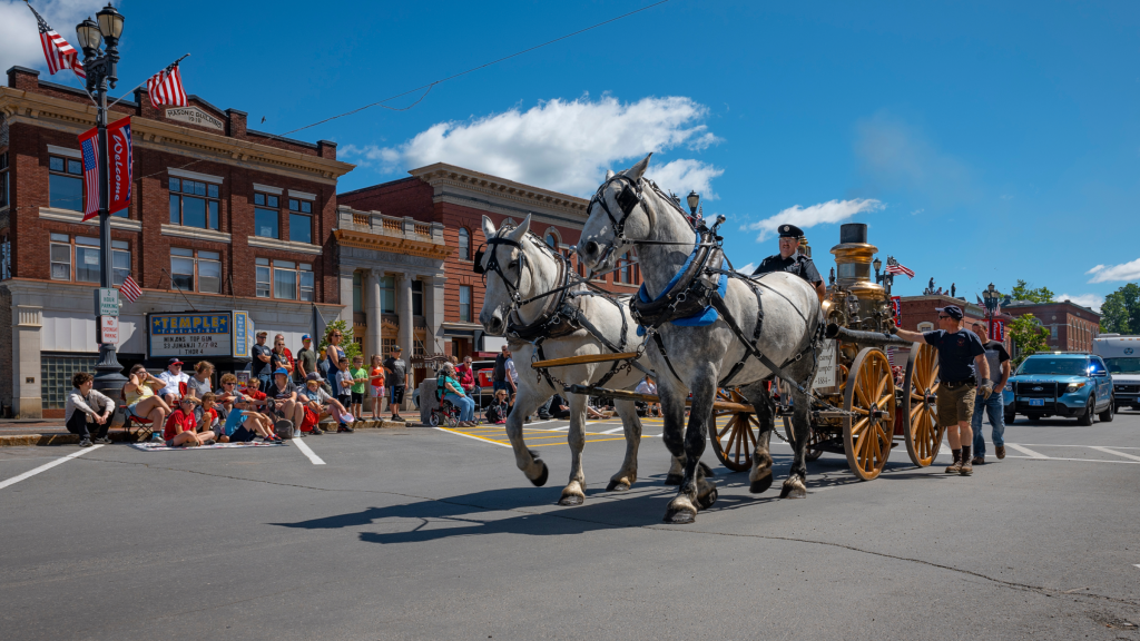 Two white horses pull a vintage fire engine during a sunny street parade in Portland Maine.