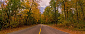 Road with Colorful Fall Foliage, Photo Credit: Cynthia Farr-Weinfeld