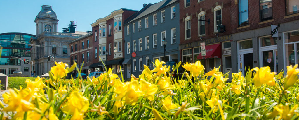 Yellow Flowers in Old Port with Brick Buildings, Photo Credit: Corey Templeton