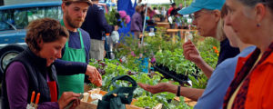 Farmers Market, Photo Credit: Corey Templeton