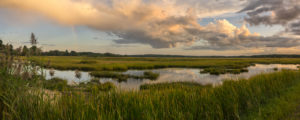 Scarborough Marsh Panorama, Photo Credit: CFW Photography