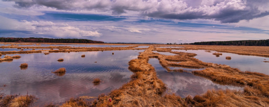 Wide Shot of Scarborough Marsh, Photo Credit: Cynthia Farr-Weinfeld