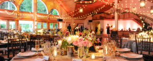 Twinkle Lights in Tent with Wine Glasses and Flowers on Tables, Photo Credit: deManio Photography