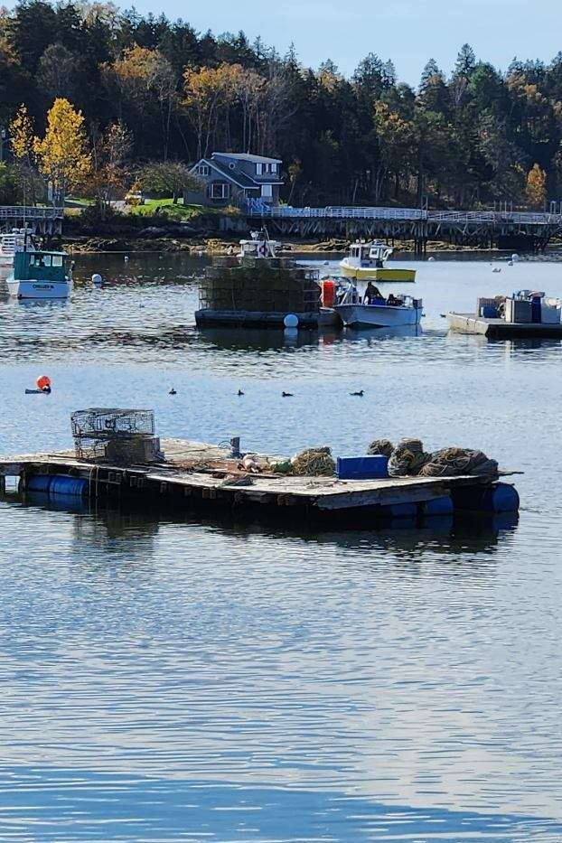 Ocean views from Bailey Island, Photo Credit: Brigitta Jenner