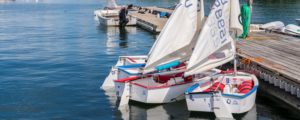 Sail Boats Docked. Photo Credit: CFW Photography