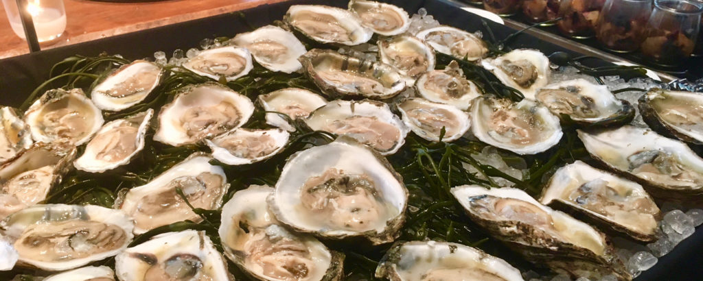 Oysters from Taste of Maine, Photo Credit: Robert Witkowski