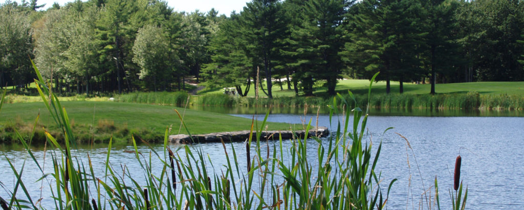 Golf Tournament Outdoor with Trees and Pond Golf Tournament Outdoor with Trees and Pond