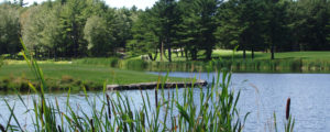 Golf Tournament Outdoor with Trees and Pond