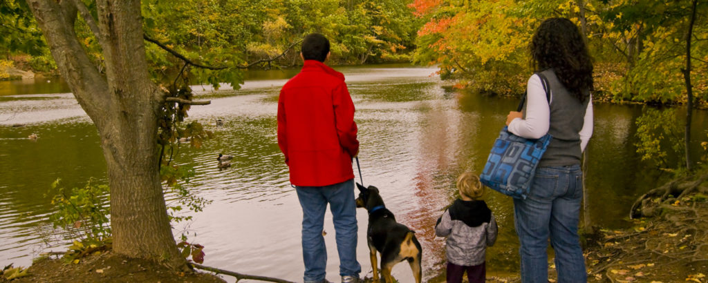 Family Walking Trail, Photo Credit: Cynthia Farr-Weinfeld