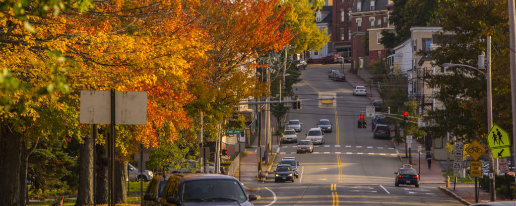 Fall Foliage in Portland, Photo Credit: CFW Photography