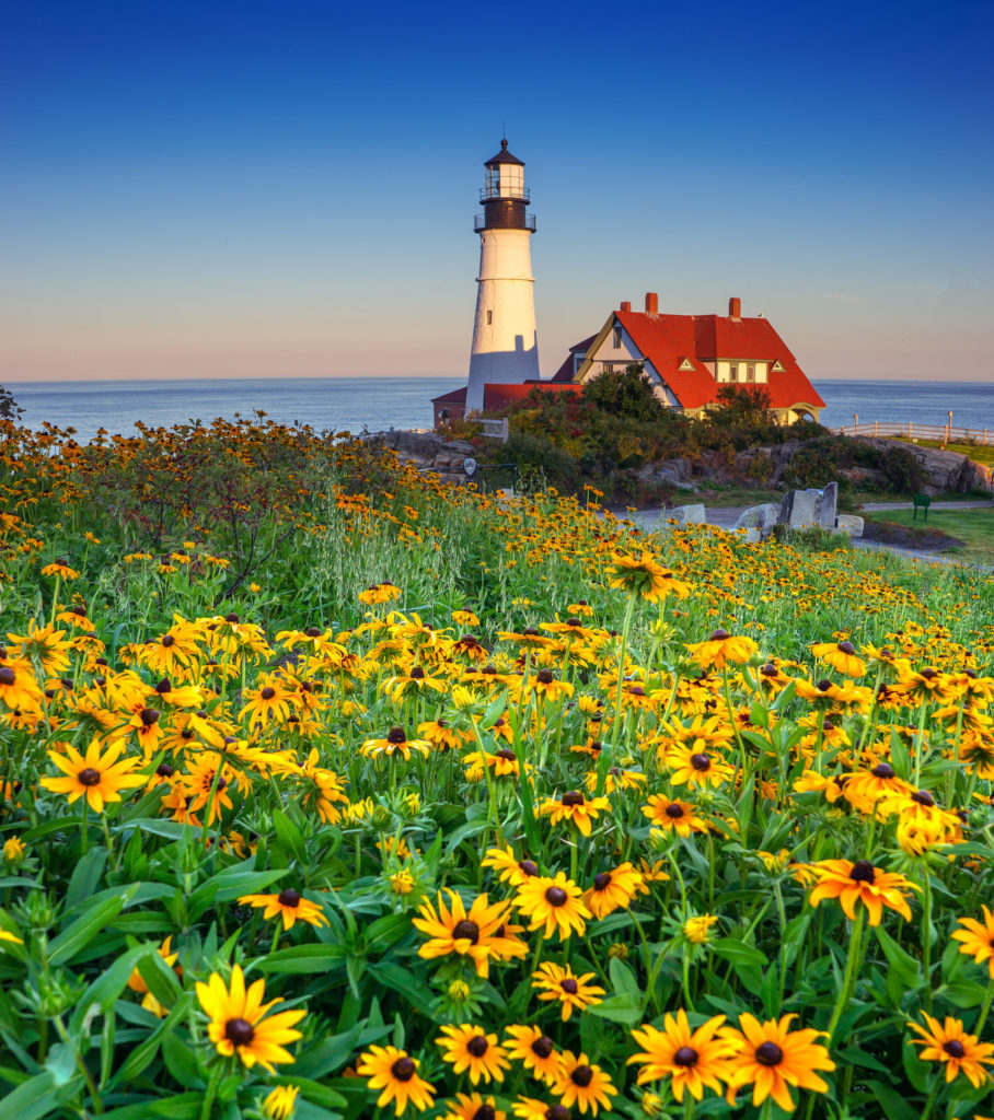 Portland Head Light Spring Flowers, Photo Credit: Kim Seng