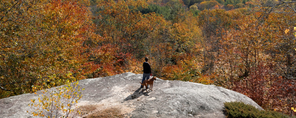 Bradbury Mountain with Dog, Photo Credit: Tim Greenway