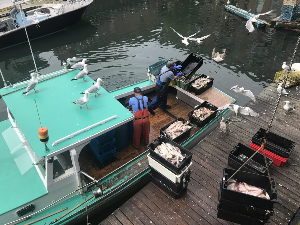 Lobster Boat on Dock in Old Port with Bait, Photo Courtesy of Visit Portland / GLP Films